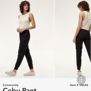 Aritzia Community Cebu Pants